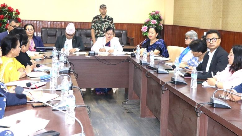 सार्वजनिक सेवामा महिलाको उपस्थिति २८ प्रतिशत