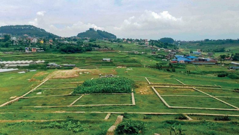 घरजग्गा खरिदकर्ता व्यवस्थित र व्यवसायिक हुन जरुरी  छ : मन्त्री अधिकारी