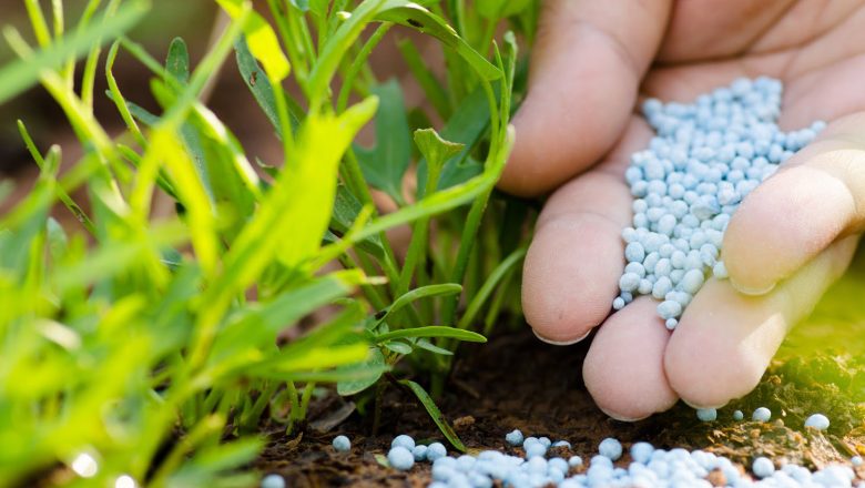 डेढ लाख मेट्रिक टन रासायनिक मल ल्याइदै