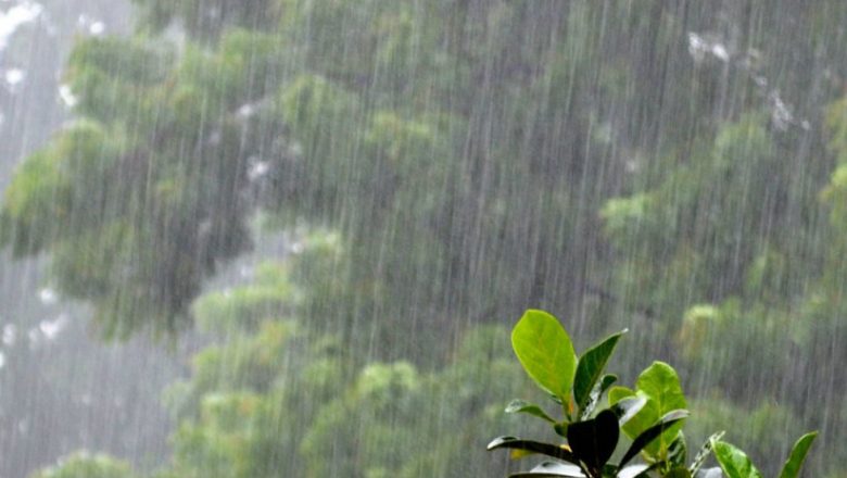 आज यी प्रदेशमा हल्कादेखि मध्यम वर्षाको सम्भावना