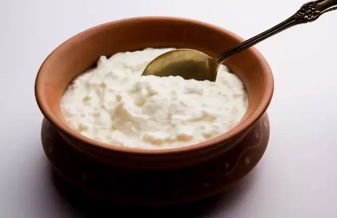 गर्मीमा दैनिक दही खानुका फाइदा