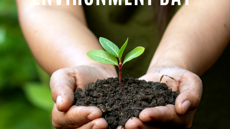 विश्व वातावरण दिवश २०२४ : ‘हाम्रो भूमि,हाम्रो भविष्य’