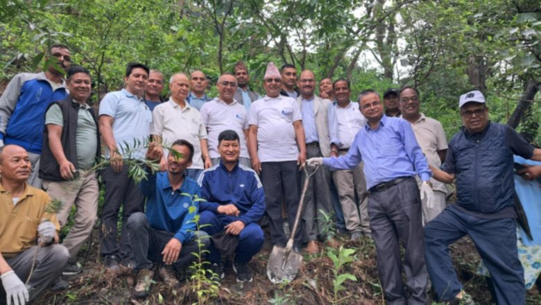 मदन भण्डारी जयन्तीमा ‘म्हेपीमा’ वृक्षारोपण,यसरी सम्झिए मदन भण्डारीलाई