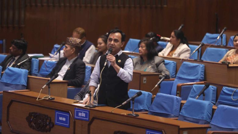 जोखिम न्यूनीकरण ऐन व्यवस्थित गर्न सरकारको ध्यानाकर्षण