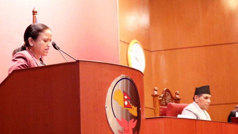 मिडिया काउन्सिल विधेयकबारे दफावार छलफल गर्न समितिमा पठाइयो