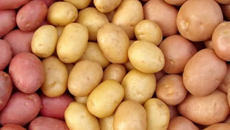 सहकारीमार्फत आलुको कारोबार