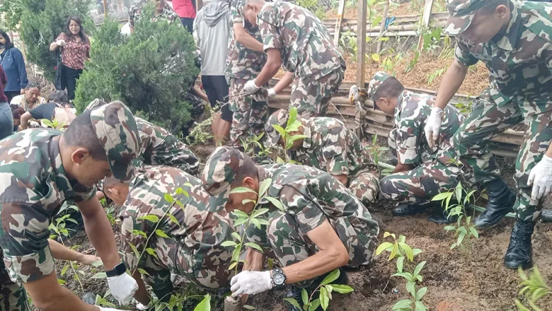 विश्व सम्पदा स्थल स्वयम्भूमा वृक्षारोपण