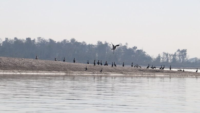 नारायणी नदीले सतर्कता तह पार गर्‍यो
