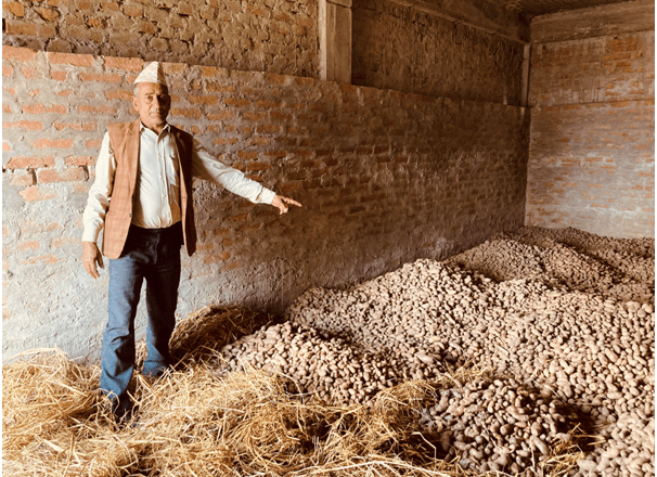 बागलुङमा आलु प्रवर्द्धन कार्यक्रमले दुई हजार सात सय क्षेत्र विस्तार