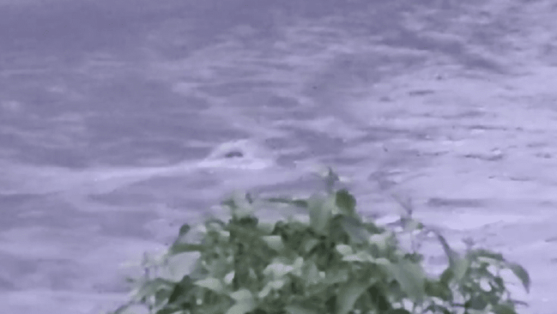 चितवनको केराबारी स्थित त्रिशूलीमा बस देखिएको आशंका