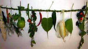 किराती समुदायले आज सिसेक्पा तङ्नाम पर्व मनाउँदै