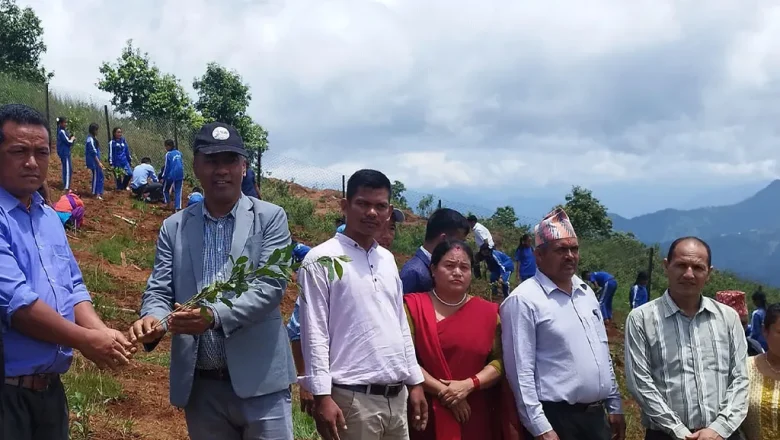 जीविकोपार्जनसँग पर्यटनलाई जोड्न तनहुँमा चियाखेती
