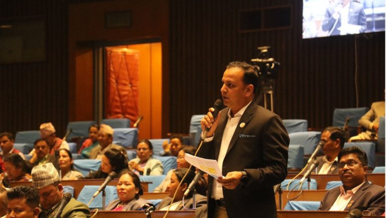 नेपाल एयरलाइन्सका सबै जहाज ग्राउन्डेड भएकोमा सरकारको ध्यानाकर्षण
