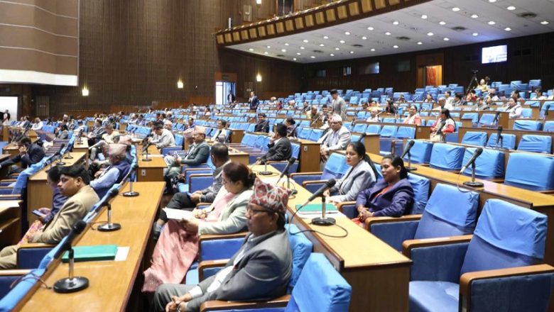 प्रतिनिधि सभा बैठक : स्थानीय तथा राष्ट्रिय समस्या समाधान गर्न सरकारको ध्यानाकर्षण