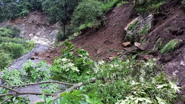रुख ढलेर  नारायणगढ(मुग्लिन सडक अवरुद्ध