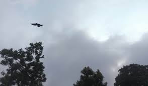 आजको मौसम : यी प्रदेशमा हल्का वर्षाको सम्भावना