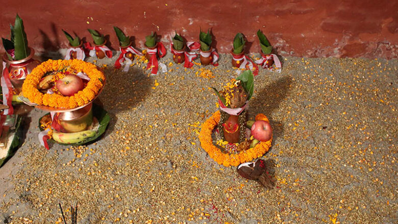 शुरू भयो बडादशैँ,दशैंघर लगायत घरघरमा घटस्थापना गरि जमरा राखियो