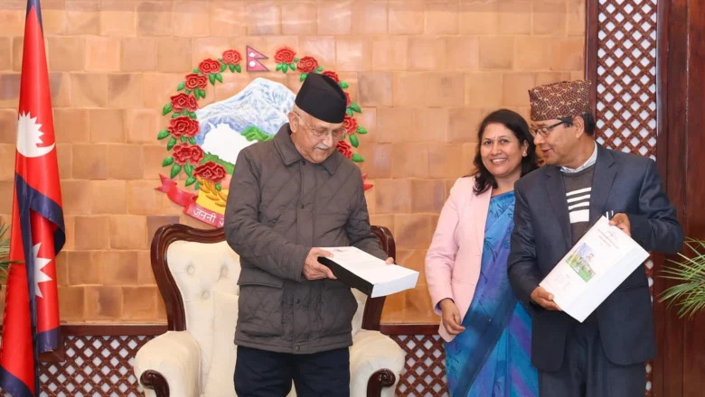 त्रिविको जग्गा हिनामिना गर्ने जो भए पनि कानुनी कारबाहीको दायरामा आउँछन् : प्रधानमन्त्री