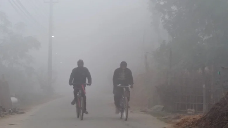 शीतलहरले तराईमा जनजीवन प्रभावित