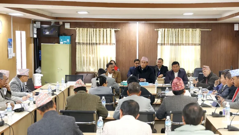 अधिकृत हुने शैक्षिक योग्यता स्नातकोत्तर राख्न प्रस्ताव