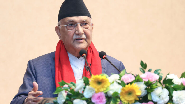 जुलुस निकाल्दा विदेशीको तस्बिर राख्नुपर्ने नाजुक अवस्थामा हामी छैनौँ’ : प्रधानमन्त्री