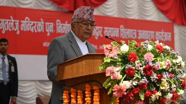 ऐतिहासिक सम्पदाको संरक्षण गर्नु हाम्रो साझा दायित्व : राष्ट्रपति