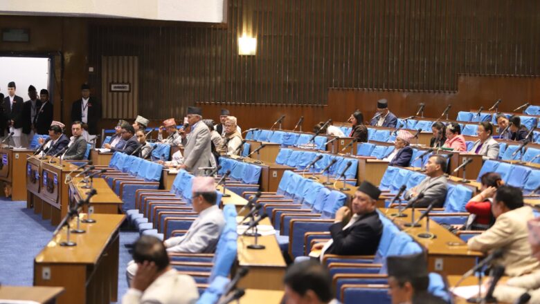 पूर्वाधार विकास समितिको वार्षिक प्रतिवेदन प्रतिनिधि सभामा पेस