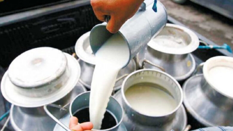 दूध उत्पादक किसान आन्दोलनमा,आज डीडीसी कार्यालयमा धर्ना दिने