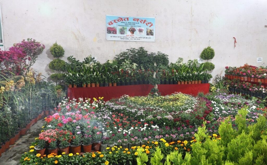 भृकुटीमण्डपमा फ्लोरा एक्स्पो सुरु