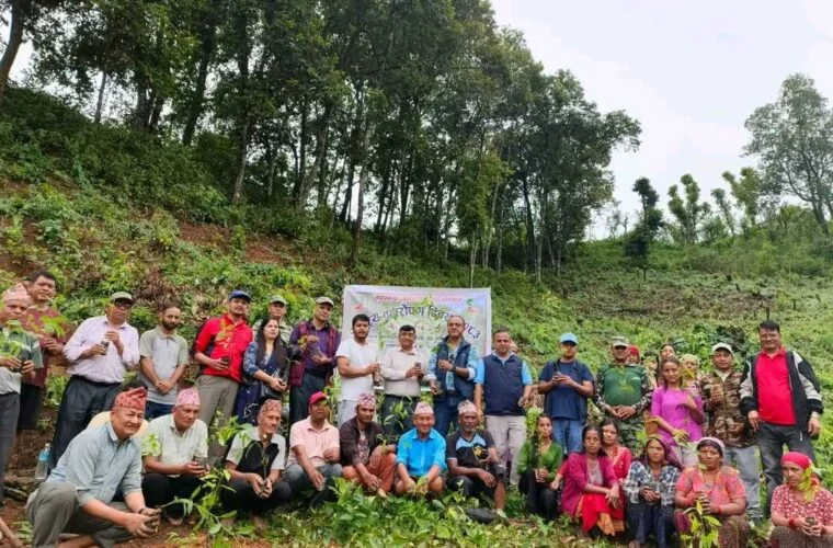 सामुदायिक वनमा एक हजार सात सय रुद्राक्ष रोपियो