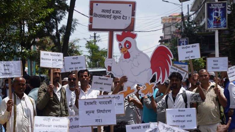 बिचौलियाबाट बचाउन पोल्ट्री व्यवसायीको माग