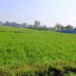 ठेक्का,जग्गा प्राप्ति,मुआब्जाको मुद्दा ९० दिनभित्र टुंग्याउनुपर्ने प्रस्ताव