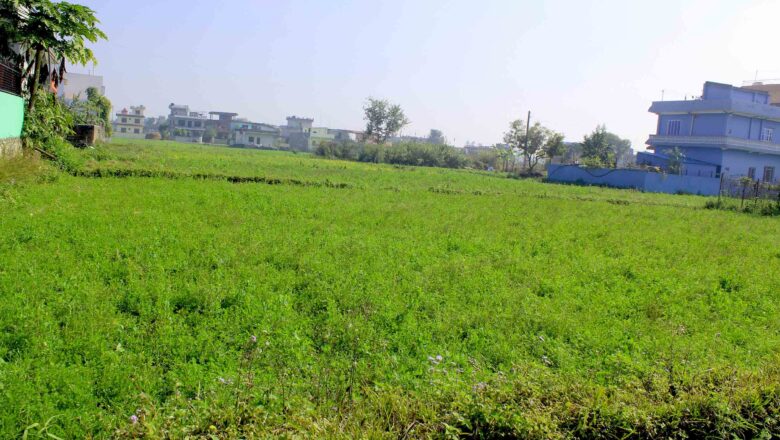 ठेक्का,जग्गा प्राप्ति,मुआब्जाको मुद्दा ९० दिनभित्र टुंग्याउनुपर्ने प्रस्ताव